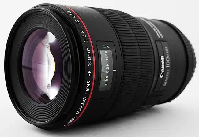 Canon 100mm L Series Macro