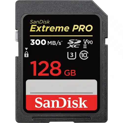 SD Card