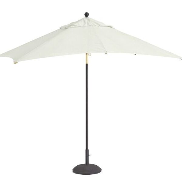 Umbrella and Stand