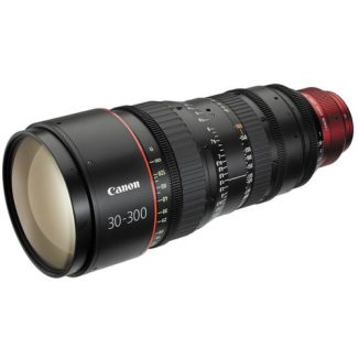 Canon 30-300mm